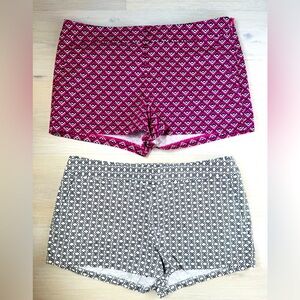 Bundle of Express Shorts